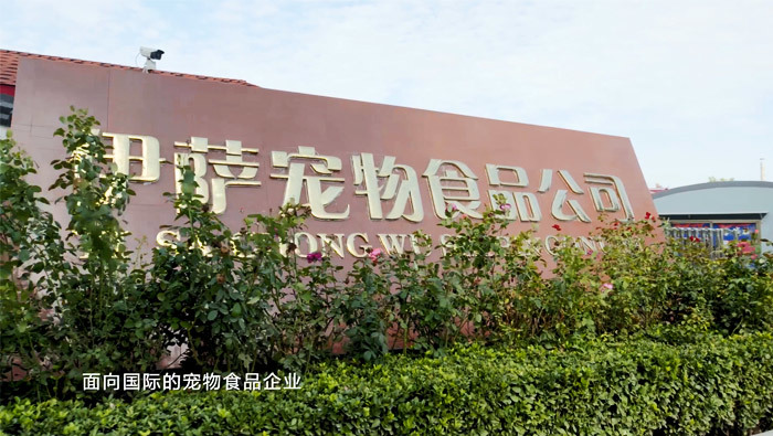 視(shì)頻(pín)标題